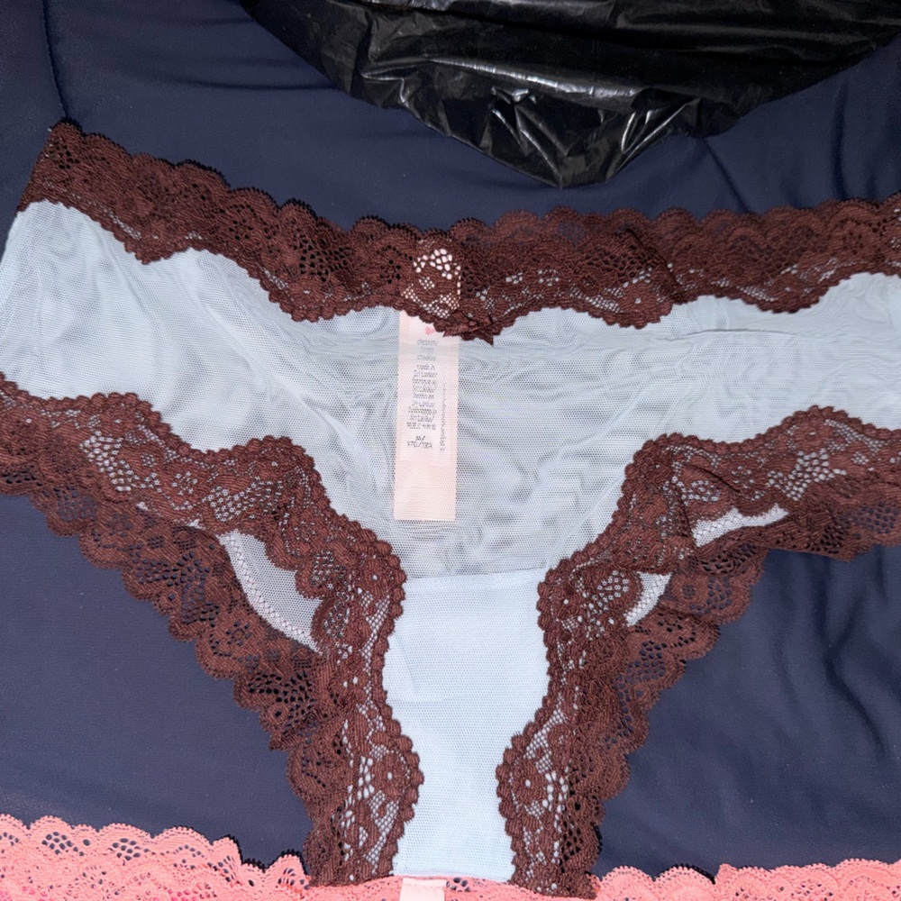 Victoria's Secret Blue and Brown Lace cheeky vs tease collection rare